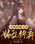 小师妹她又来始乱终弃小说