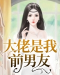 京圈大佬是我前男友小说