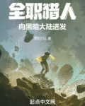 全职猎人动漫黑暗大陆篇