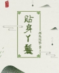 贴身丫鬟