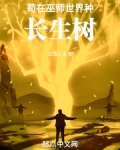 苟在巫师世界种长生树过馆人生