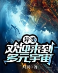 多元宇宙异位面来客
