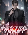 京圈公子哥小说