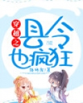 穿越之县令也疯狂