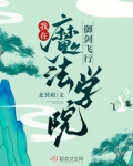 在魔法学院的小说