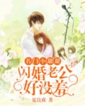 名门小甜甜:闪婚老公好没羞