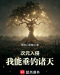 次元入侵的小说
