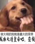 我成了崇祯帝