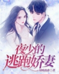 夜少的逃婚新妻