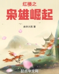 重生之枭雄崛起最新