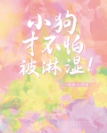 小狗才不怕被淋湿!
