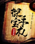 探宝手札