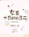 女尊世界的白莲花TxT