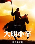 大明小卒作者