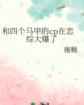 多个马甲的小说