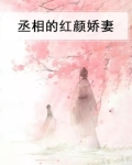 丞相的娇妾