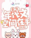 重生年代文空间在手TXT下载