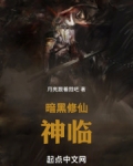 暗黑修仙流小说