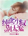 纯禽小叔别太猛免费阅读下载