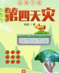 这真不是第四天灾起点