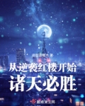 从红楼开始打穿诸天小说