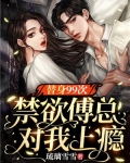 替身99次,禁欲傅总对我上瘾