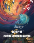 穿越武侠从天龙开始