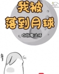 月球落到地球上会怎样
