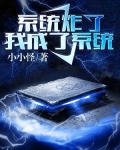 系统炸了,我成了系统