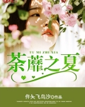 荼蘼讲的什么