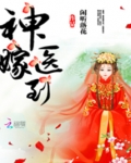 神医嫁到 闲听落花