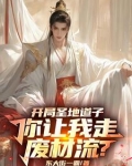 系统绑错人后,我的修仙路走歪了 366章