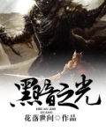 《黑暗之光》完整版