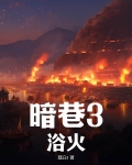 暗巷3浴火小说免费阅读