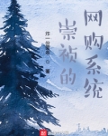 崇祯的网购系统免费阅读