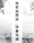 将军别想逃免费阅读