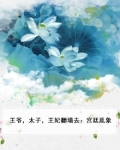 王爷，太子，王妃翻墙去：宫廷乱象