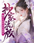 抄家流放，搬空皇家库房发家致富