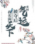 重回气运被夺后我名满天下无弹窗