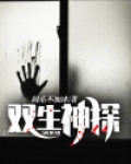 双生神探