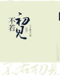不若初见忆相思全文免费阅读