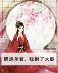 偶遇圣君,我抱了大腿免费阅读