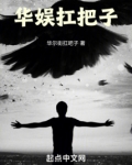 华娱扛把子无错版