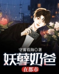 妖孽奶爸在都市
