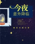 蝴蝶今夜降临
