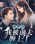 小说 离婚后我被前夫到追