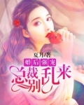 婚后强宠,总裁的旧爱新欢txt