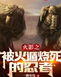 木叶之被火遁烧死的忍者免费阅读
