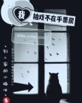 我拍戏不在乎票房笔趣阁