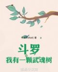 斗罗之我有无数武魂